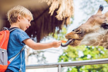 küçük çocuk çocuk izliyor ve hayvanat bahçesinde zürafa besleme. Mutlu bir çocukluk hayvanlar safari park sıcak yaz gününde eğleniyor
