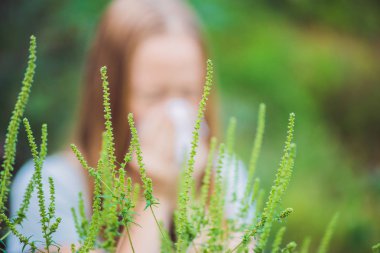 Genç kadın hapşırma ragweed alerjisi nedeniyle