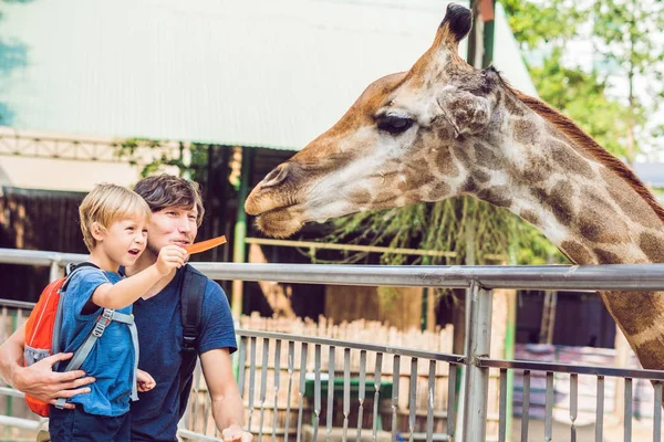 Padre e figlio che guardano e danno da mangiare alla giraffa allo zoo. Ragazzo felice divertirsi con animali safari park nella calda giornata estiva — Foto Stock