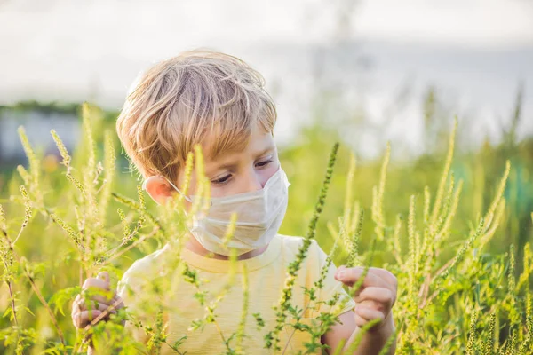 Мальчик в медицинской маске из-за аллергии на сорняки — стоковое фото