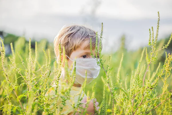 Menino em uma máscara médica por causa de uma alergia a ragweed — Fotografia de Stock