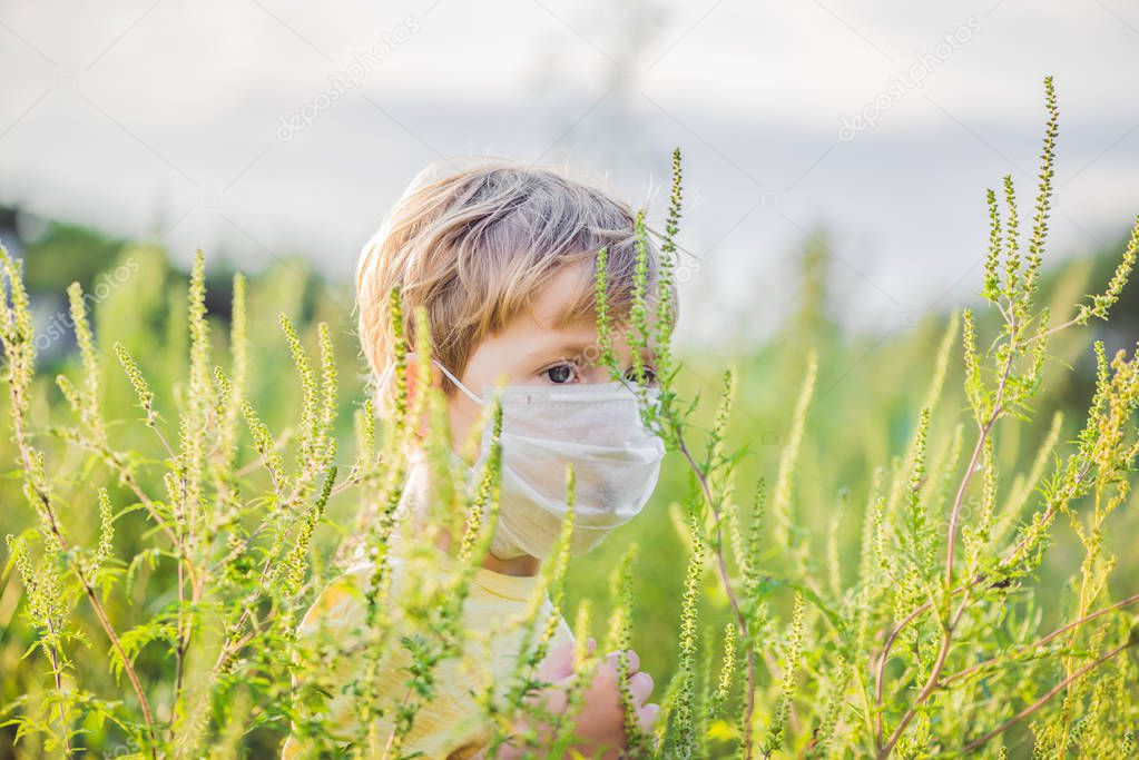 Boy in a medical mask because of an allergy to ragweed