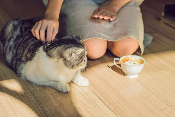 Молодая женщина пьет кофе и гладит кошку. — стоковое фото