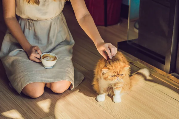 Молодая женщина пьет кофе и гладит кошку. — стоковое фото