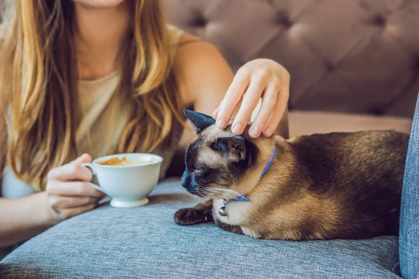 Молода жінка п'є каву і погладжує кота — стокове фото