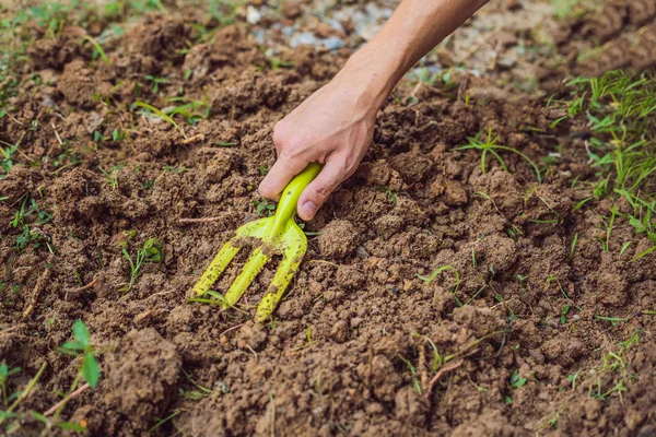 A mans hand with a garden tool. Man gardening — Stock Photo, Image