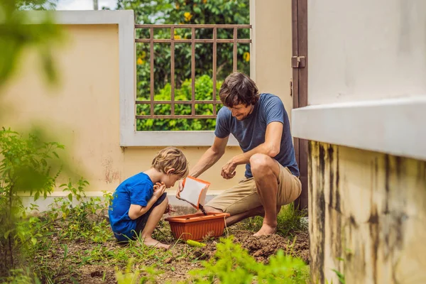 Отец и сын садоводства в саду рядом с домом — стоковое фото