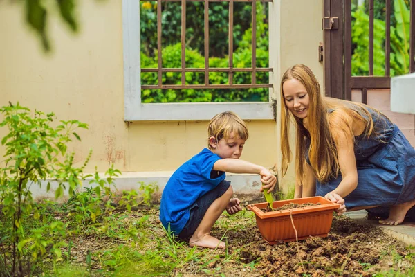 Hermosa mujer joven y su lindo hijo plantando plántulas en la cama en el jardín doméstico en el día de verano. Herramientas de jardín, guantes y regadera al aire libre. Actividad de jardinería con niños pequeños y familiares — Foto de Stock