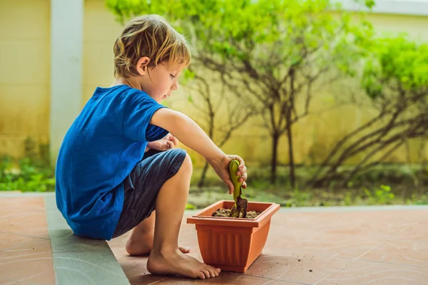 Kleine schattige jongen zaait zaden in een bloempot in de tuin — Stockfoto