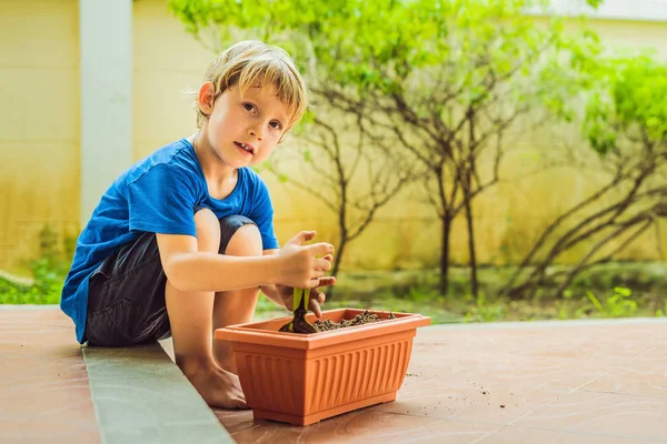 Küçük şirin çocuk tohum bahçede çiçek tencerede sows — Stok fotoğraf