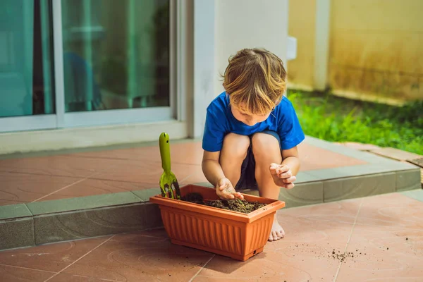 Küçük şirin çocuk tohum bahçede çiçek tencerede sows — Stok fotoğraf