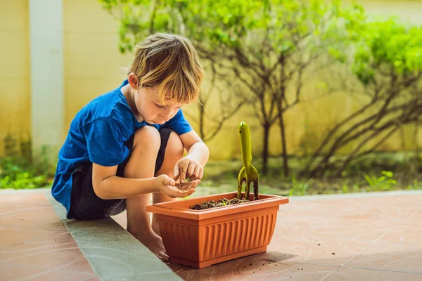 Pequeño niño lindo siembra semillas en una maceta en el jardín — Foto de Stock