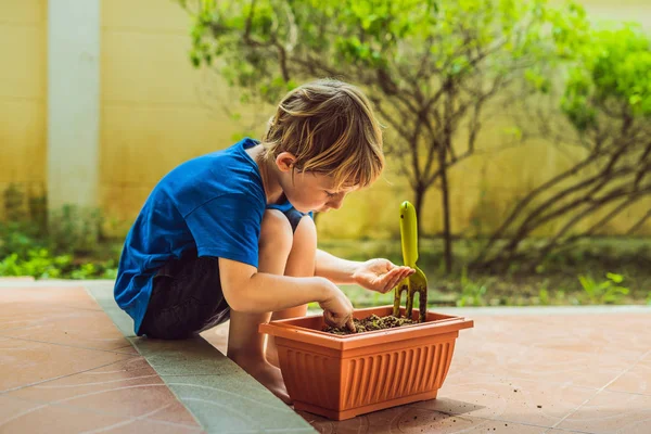 Pequeño niño lindo siembra semillas en una maceta en el jardín — Foto de Stock