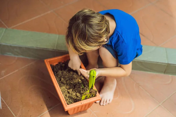 Pequeño niño lindo siembra semillas en una maceta en el jardín — Foto de Stock