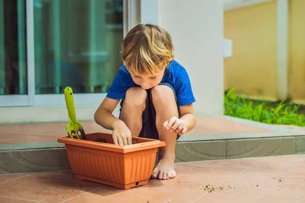 Little cute boy sows seeds in a flower pot in the garden — Stock Photo, Image