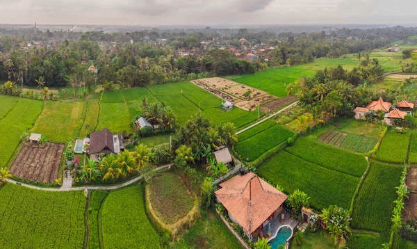 벼의 재배 식물을 가진 녹색 쌀 필드 시골 토지에서에서의 무인 항공기 비행에서 최고 조감도 사진. 발리, 인도네시아 — 스톡 사진