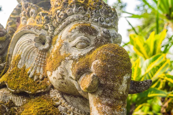 Ganesha coperta di muschio nel parco — Foto Stock