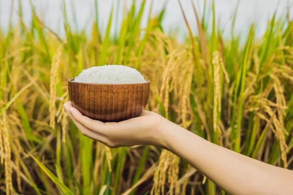 The hand holds a cup of boiled rice in a wooden cup, against the background of a ripe rice field — Stock Photo, Image