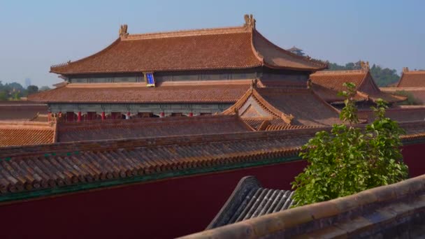 Steadicam strzał z wewnętrzną część Zakazane Miasto - starożytny Pałac Chinas cesarza — Wideo stockowe