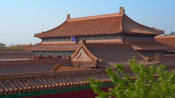 Steadicam disparo de una parte interior de la Ciudad Prohibida - antiguo palacio del emperador Chinas — Vídeo de stock