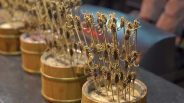 Крупный План Многих Скорпионов Нанизанных Бамбуковую Палку Путешествие Китай Концепция — стоковое видео