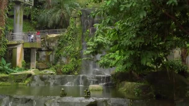 Steadicam plan d'un parc d'oiseaux avec une cascade et de longues allées sous les tropiques — Video