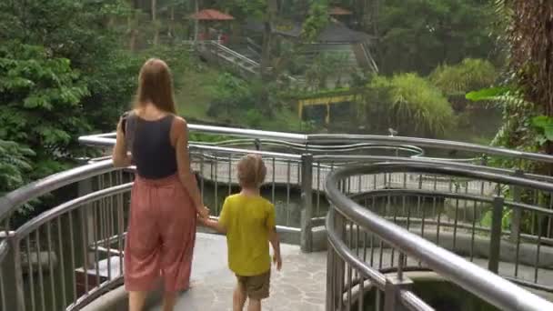 Steadicam shot of a young woman and her little son visiting a tropical bird park — Stock Video