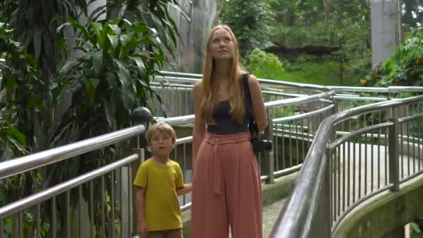 Steadicam skott av en ung kvinna och hennes lille son besöker en tropisk fågelpark — Stockvideo