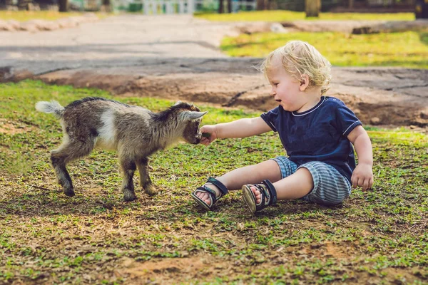 Petit Garçon Mignon Nourrit Une Petite Chèvre Nouveau Née — Photo