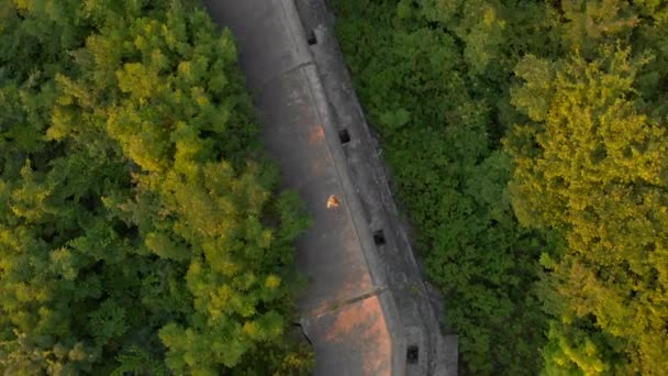 Foto Aerea Una Giovane Donna Che Correva Sopra Una Vecchia — Video Stock