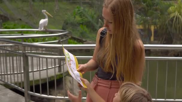 Куала-Лумпур, Малайзия - 22 ноября 2018 года: Молодая женщина и ее маленький сын посещают парк птиц в тропиках — стоковое видео