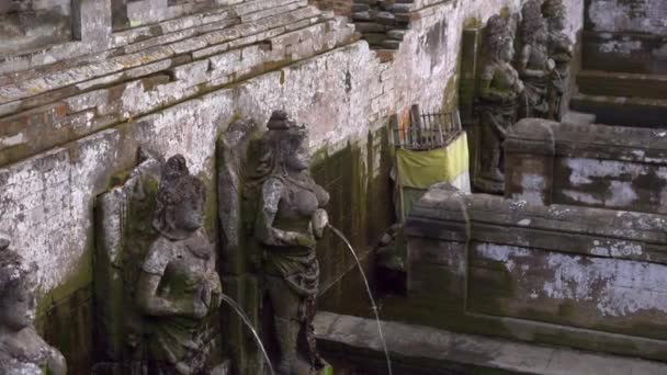 Le sorgenti sacre nella zona della Grotta dell'Elefante, Goa Gajah nel villaggio di Ubud sull'isola di Bali — Video Stock