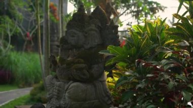 Slowmotion steadicam atış taş heykel Ganesha Tanrı'nın bir tropik bahçe yosun kaplı
