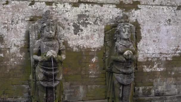 Le sorgenti sacre nella zona della Grotta dell'Elefante, Goa Gajah nel villaggio di Ubud sull'isola di Bali — Video Stock