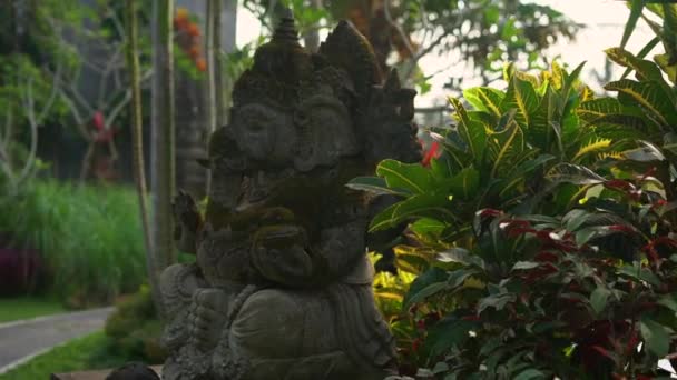 Slowmotion steadicam skott av sten staty av guden Ganesha täckt med mossa i en tropisk trädgård — Stockvideo