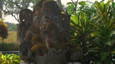 Slowmotion steadicam atış taş heykel Ganesha Tanrı'nın bir tropik bahçe yosun kaplı