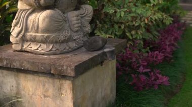Slowmotion steadicam atış taş heykel Ganesha Tanrı'nın bir tropik bahçe yosun kaplı