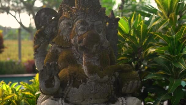 Scatto steadicam al rallentatore della statua in pietra del dio Ganesha ricoperta di muschio in un giardino tropicale — Video Stock