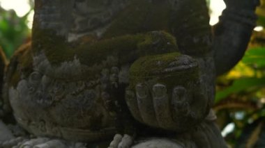 Slowmotion steadicam atış taş heykel Ganesha Tanrı'nın bir tropik bahçe yosun kaplı