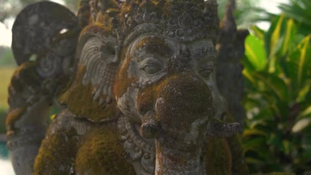 Slowmotion Steadicam Disparo Estatua Piedra Ganesha Dios Cubierto Musgo Jardín — Vídeo de stock