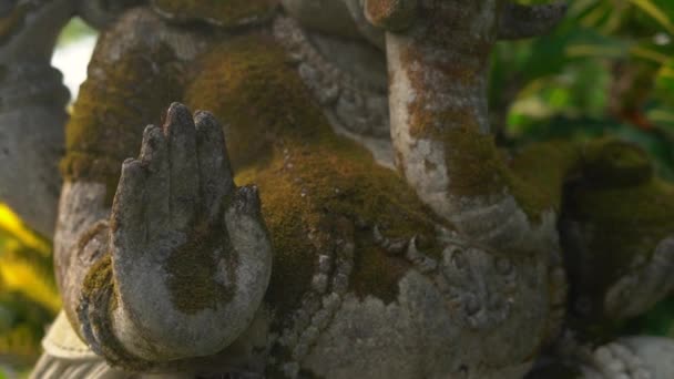Slowmotion steadicam skott av sten staty av guden Ganesha täckt med mossa i en tropisk trädgård — Stockvideo
