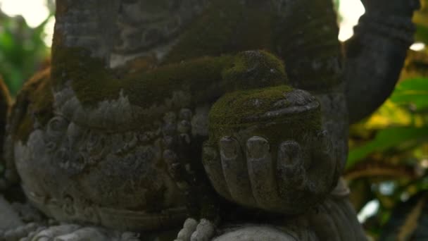Slowmotion steadicam disparo de la estatua de piedra de Ganesha dios cubierto de musgo en un jardín tropical — Vídeo de stock