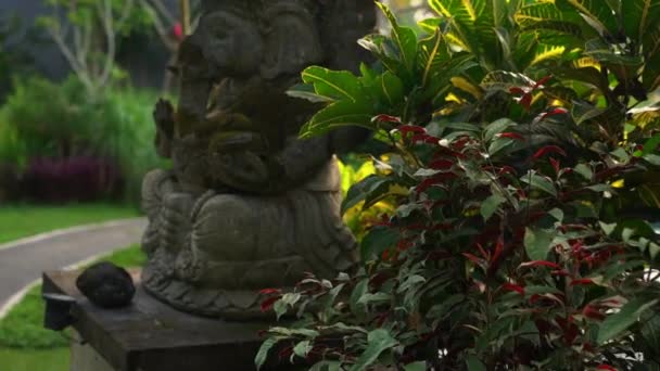 Slowmotion steadicam shot de la statue en pierre du dieu Ganesha recouvert de mousse dans un jardin tropical — Video