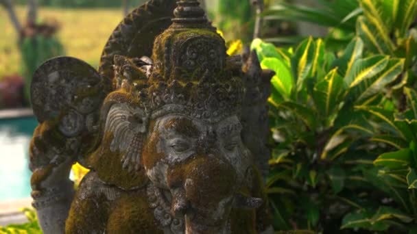 Slowmotion steadicam tiro da estátua de pedra de deus Ganesha coberto com musgo em um jardim tropical — Vídeo de Stock