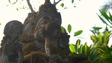 Slowmotion steadicam atış taş heykel Ganesha Tanrı'nın bir tropik bahçe yosun kaplı