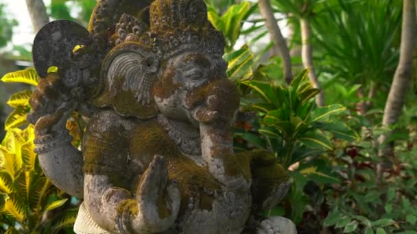 Slowmotion steadicam shot of the stone statue of Ganesha god covered with moss in a tropical garden — Stock Video