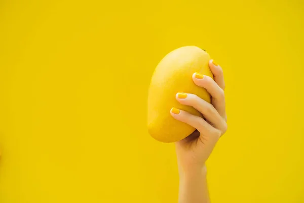 Kezében egy sárga manikűr gazdaság egy sárga érett mangó sárga háttérrel — Stock Fotó