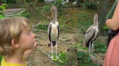 Genç kadın ve küçük oğlu tropik kuş parkta ziyaret edin