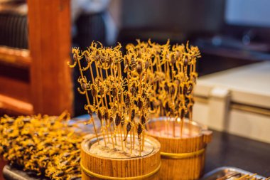 Fried akrepler Wangfujing gece pazarında Beijing, Çin