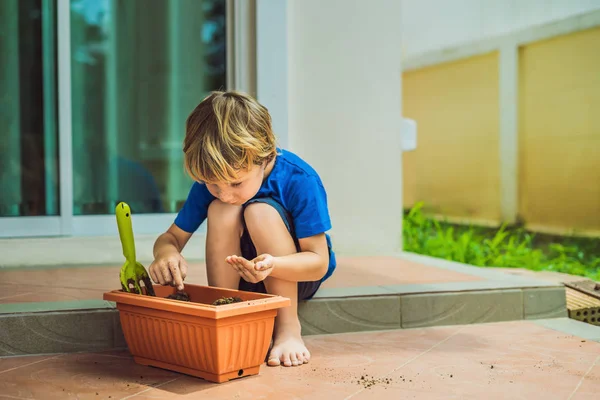 可爱的小男孩在花园里的花盆里播种 — 图库照片
